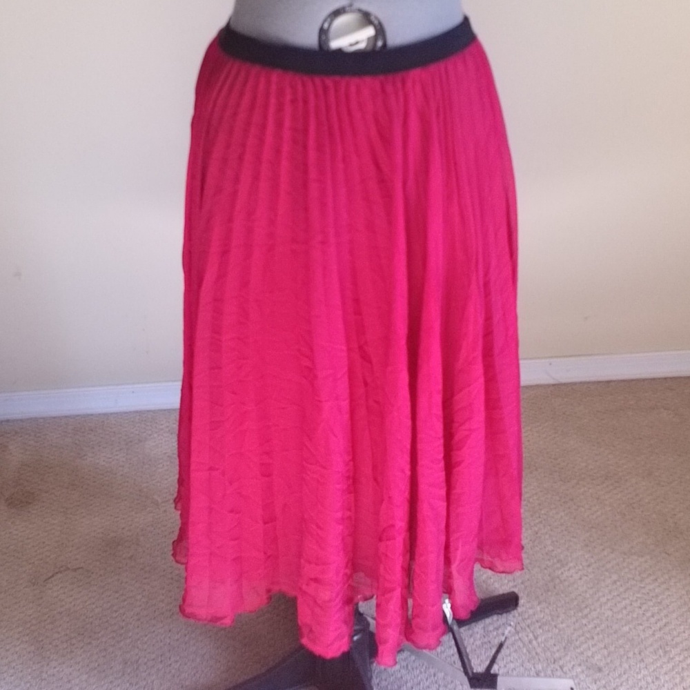 Long Sheer Skirt with Underlining